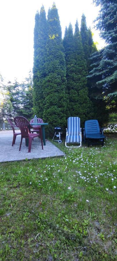 Apartamenty Z Ogrodem Nr 1 Studio Mrągowo Esterno foto